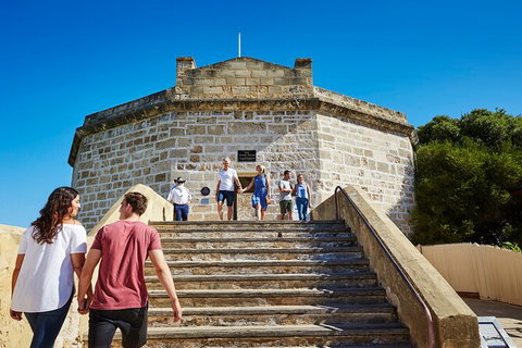 Full-Day Penguin Island & Fremantle Town - Lightning Ridge Tourism 4
