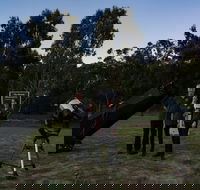 Stargazing Busselton with Mobile Observatory - Lightning Ridge Tourism