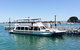 Half-Day Mandurah Canals & Dolphin Watch Tour - thumb 1