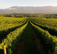Half-Day Swan Valley Walk  Fruit Orchard - Lightning Ridge Tourism
