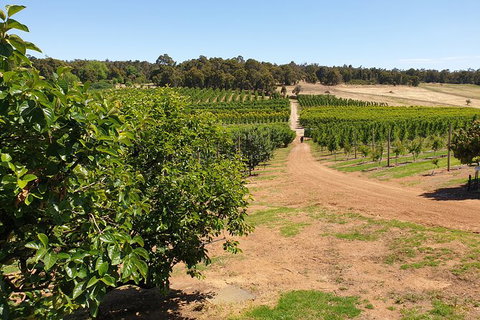 Half-Day Swan Valley Walk & Fruit Orchard - Lightning Ridge Tourism 7