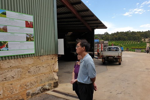Half-Day Swan Valley Walk & Fruit Orchard - Lightning Ridge Tourism 4
