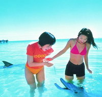 Monkey Mia Dolphins  Shark Bay Air Tour From Perth - Lightning Ridge Tourism