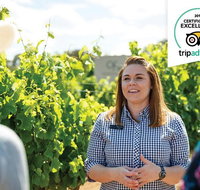 Swan Valley Wine Adventure - Half Day Premium Boutique Winery Tour - Lightning Ridge Tourism