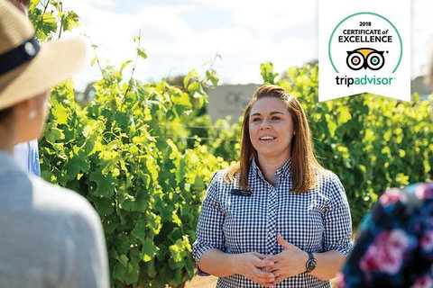 Swan Valley Wine Adventure - Half Day Premium Boutique Winery Tour - Lightning Ridge Tourism 0