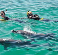 Swim with Dolphins Day Trip from Perth - Lightning Ridge Tourism