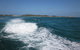 Swim With Dolphins Day Trip From Perth - thumb 4