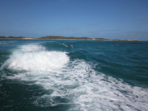 Swim With Dolphins Day Trip From Perth - Lightning Ridge Tourism 4