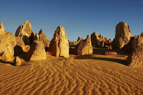 Full Day Pinnacle Desert Explorer From Perth Including Hillarys And Lancelin Sandboarding - Lightning Ridge Tourism 7