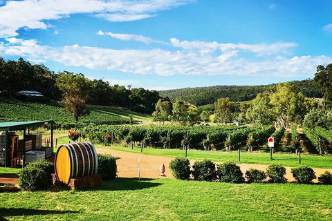 Small-Group Bickley Valley Wine Tour - Lightning Ridge Tourism 1