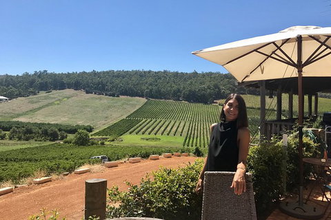 Small-Group Bickley Valley Wine Tour - Lightning Ridge Tourism 0