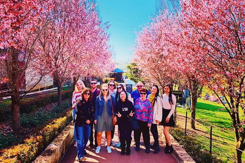 Small-Group Bickley Valley Wine Tour - Lightning Ridge Tourism 10