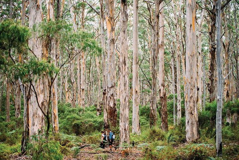 10 Day Perth To Adelaide - The Great Australian Wilderness Journey - Lightning Ridge Tourism 18