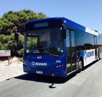 Rottnest Bayseeker Bus Tour from Hillarys Boat Harbour - Lightning Ridge Tourism