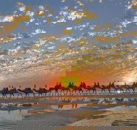 Broome City Sightseeing Tour with Optional Camel Ride - Lightning Ridge Tourism