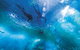 Snorkel With Sharks At AQWA - thumb 8