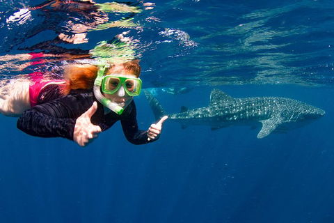 VIP Luxury Chartered Escapes, Exploring The Reef At Your Own Pace - Lightning Ridge Tourism 20
