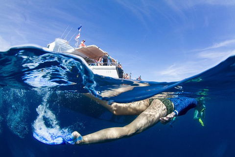 VIP Luxury Chartered Escapes, Exploring The Reef At Your Own Pace - Lightning Ridge Tourism 40