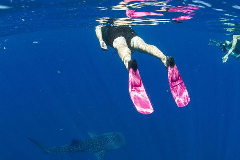 VIP Luxury Chartered Escapes, Exploring The Reef At Your Own Pace - Lightning Ridge Tourism 49