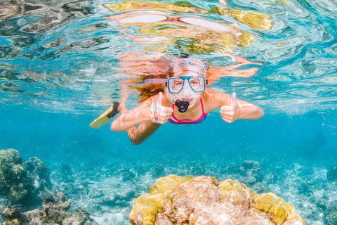 VIP Luxury Chartered Escapes, Exploring The Reef At Your Own Pace - Lightning Ridge Tourism 48