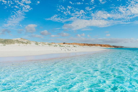 VIP Luxury Chartered Escapes, Exploring The Reef At Your Own Pace - Lightning Ridge Tourism 36