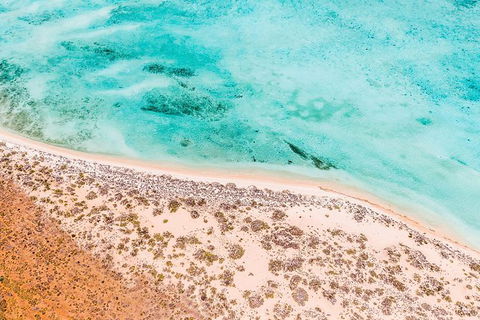 VIP Luxury Chartered Escapes, Exploring The Reef At Your Own Pace - Lightning Ridge Tourism 4