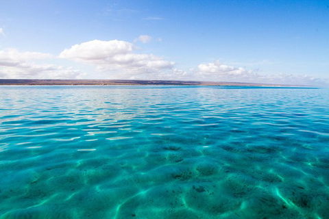 VIP Luxury Chartered Escapes, Exploring The Reef At Your Own Pace - Lightning Ridge Tourism 32