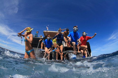 VIP Luxury Chartered Escapes, Exploring The Reef At Your Own Pace - Lightning Ridge Tourism 17