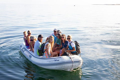 VIP Luxury Chartered Escapes, Exploring The Reef At Your Own Pace - Lightning Ridge Tourism 43