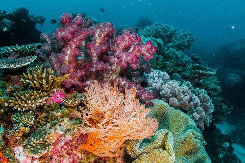 VIP Luxury Chartered Escapes, Exploring The Reef At Your Own Pace - Lightning Ridge Tourism 33