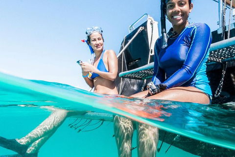 VIP Luxury Chartered Escapes, Exploring The Reef At Your Own Pace - Lightning Ridge Tourism 24