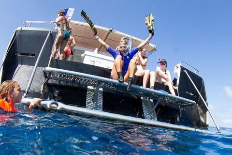 VIP Luxury Chartered Escapes, Exploring The Reef At Your Own Pace - Lightning Ridge Tourism 25