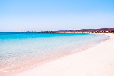 VIP Luxury Chartered Escapes, Exploring The Reef At Your Own Pace - Lightning Ridge Tourism 45