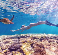 7-Day Exmouth Explorer via Pinnacles Monkey Mia Ningaloo Reef returning to Perth - Lightning Ridge Tourism