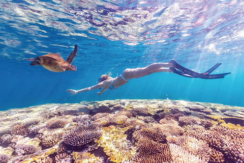 7-Day Exmouth Explorer Via Pinnacles Monkey Mia Ningaloo Reef Returning To Perth - Lightning Ridge Tourism 0