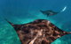 7-Day Exmouth Explorer Via Pinnacles Monkey Mia Ningaloo Reef Returning To Perth - thumb 8