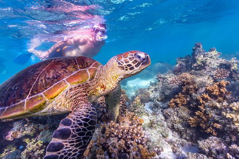 7-Day Exmouth Explorer Via Pinnacles Monkey Mia Ningaloo Reef Returning To Perth - Lightning Ridge Tourism 11