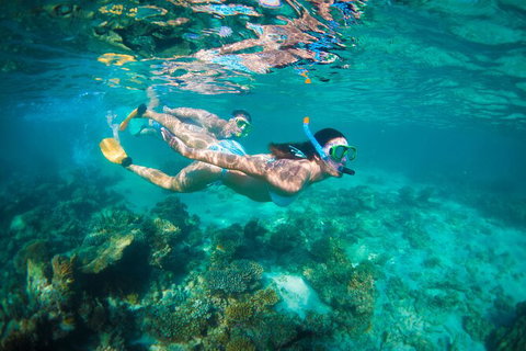 7-Day Exmouth Explorer Via Pinnacles Monkey Mia Ningaloo Reef Returning To Perth - Lightning Ridge Tourism 13
