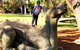 Big Perth (Private) Day Tour - thumb 13