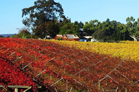 Swan Valley Wine Time (Private) Day Tour - Lightning Ridge Tourism 0