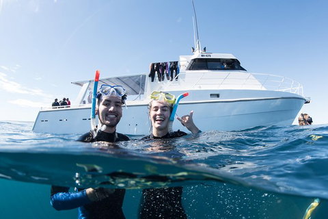 Swim With Whale Sharks - Ningaloo Reef - 3 Islands Whale Shark Dive - Lightning Ridge Tourism 20