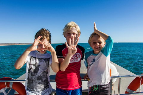 Swim With Whale Sharks - Ningaloo Reef - 3 Islands Whale Shark Dive - Lightning Ridge Tourism 15