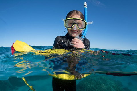 Swim With Whale Sharks - Ningaloo Reef - 3 Islands Whale Shark Dive - Lightning Ridge Tourism 17