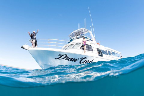 Swim With Whale Sharks - Ningaloo Reef - 3 Islands Whale Shark Dive - Lightning Ridge Tourism 12