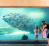 AQWA The Aquarium of Western Australia General Admission - Lightning Ridge Tourism