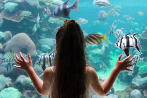 AQWA The Aquarium Of Western Australia: General Admission - Lightning Ridge Tourism 1