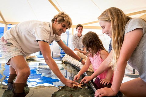 AQWA The Aquarium Of Western Australia: General Admission - Lightning Ridge Tourism 5