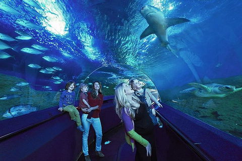 AQWA The Aquarium Of Western Australia: General Admission - Lightning Ridge Tourism 14