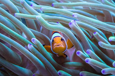 AQWA The Aquarium Of Western Australia: General Admission - Lightning Ridge Tourism 4
