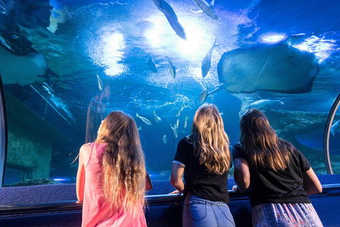 AQWA The Aquarium Of Western Australia: General Admission - Lightning Ridge Tourism 7